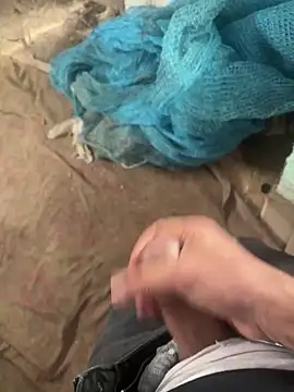 dragon ndragos online show from February 2026 11:37:02 AM