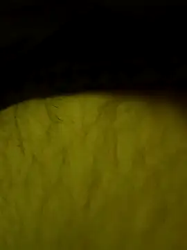 Snapshot of jajajaja322 chatting on February 2026 09:24:01 PM jajajaja322 online show from February 2026 09:24:01 PM