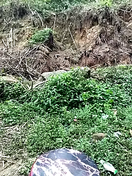 Hoa-tuylip online show from April 2026 01:29:02 AM