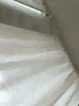 Snapshot of Sara0202 chatting on February 2026 12:01:02 PM Sara0202 online show from February 2026 12:01:02 PM