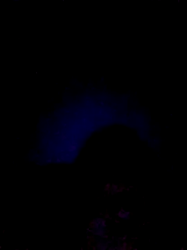 061190 online show from May 2026 02:46:01 PM