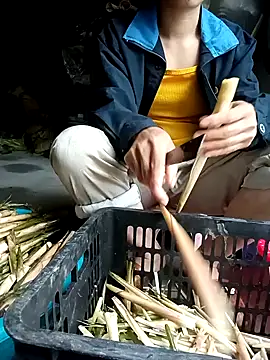 Hayaya11 online show from March 2026 09:45:02 AM