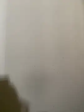 exoticshruti online show from February 2026 07:29:01 AM