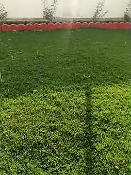 Romantic rakesh 12 online show from February 2026 11:14:02 AM