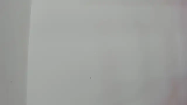 jack sorel online show from March 2026 10:54:02 AM