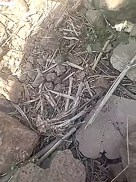 Cute Boy 4 online show from February 2026 07:37:02 AM