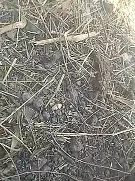 Cute Boy 4 online show from March 2026 07:45:01 AM