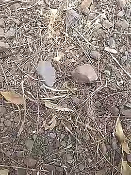 Cute Boy 4 online show from March 2026 07:45:02 AM