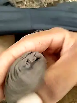Snapshot of Cute_Boy_4 chatting on July 2026 08:10:01 AM Cute Boy 4 online show from July 2026 08:10:01 AM