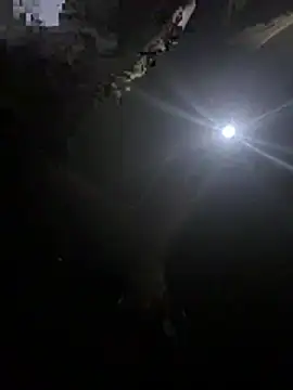 makemestayhard online show from March 2026 04:53:02 AM