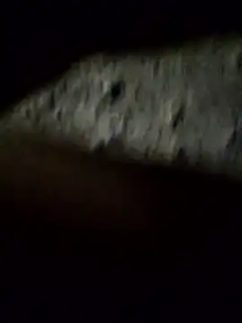 crazyxy12 online show from February 2026 03:48:02 PM