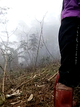 Tina-beo online show from March 2026 08:19:01 AM