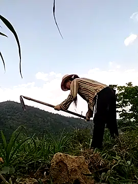 Tina-beo online show from April 2026 08:19:01 AM