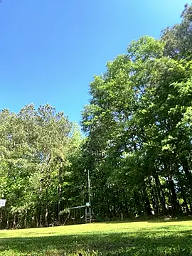 magic man1085 online show from April 2026 02:54:02 PM