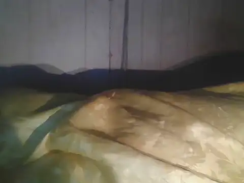 Prikev38452 online show from April 2026 07:45:01 AM