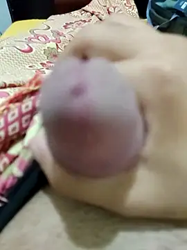 Snapshot of putopau15 chatting on February 2026 03:13:01 AM putopau15 online show from February 2026 03:13:01 AM