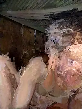 Snapshot of Bella-222 chatting on March 2026 07:15:01 AM Bella-222 online show from March 2026 07:15:01 AM