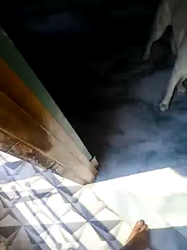 rubitrides11 online show from February 2026 06:09:01 AM