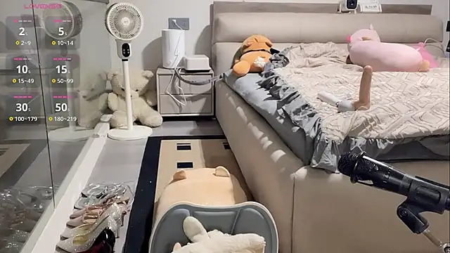 yyds-8 online show from February 2026 03:56:02 AM