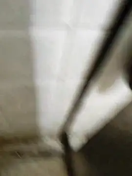 Gordinho dos pes online show from March 2026 03:33:01 AM