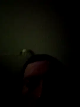 bigbooietx online show from March 2026 08:05:02 AM