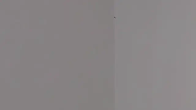 Snapshot of Lilith_pink29 chatting on February 2026 03:37:01 AM Lilith pink29 online show from February 2026 03:37:01 AM