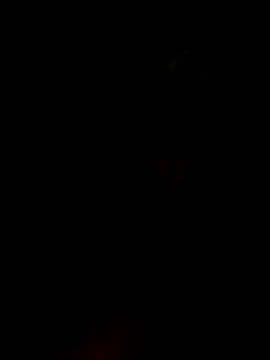 S7LEALTADPERVLIMA7 online show from May 2026 11:05:01 AM