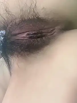 Snapshot of fadssa chatting on February 2026 06:40:02 AM fadssa online show from February 2026 06:40:02 AM