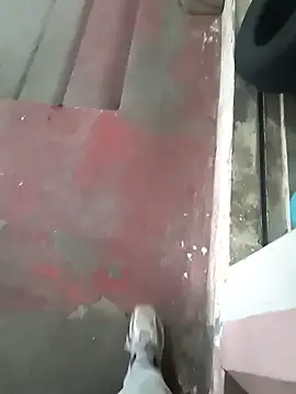 Castrol1289 online show from February 2026 12:52:02 PM