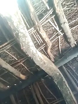 Manu mehta online show from March 2026 04:57:01 AM