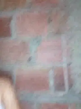 lachiki plus online show from March 2026 10:31:02 AM