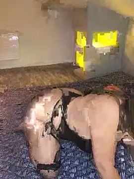 joujou95012 online show from April 2026 07:43:01 PM