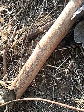 Vinita cuty online show from February 2026 04:16:02 AM