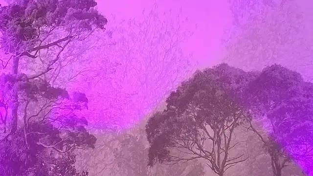 Elizabeth Ferrer online show from March 2026 12:09:01 PM