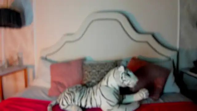 niicole garner online show from February 2026 04:34:02 PM