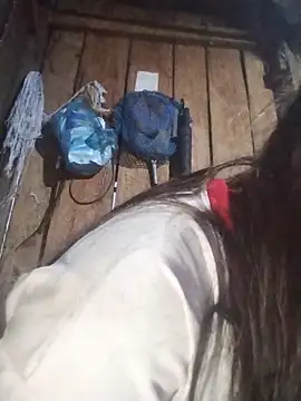 bigdady112 online show from March 2026 11:18:01 AM