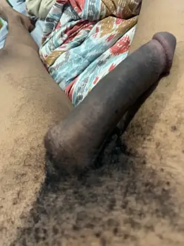 Snapshot of youngsterSA223 chatting on March 2026 08:48:01 PM youngsterSA223 online show from March 2026 08:48:01 PM