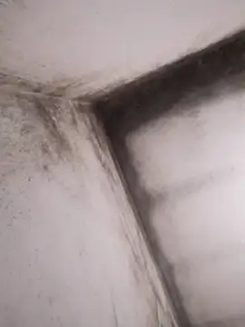 Lamich online show from February 2026 09:33:01 PM