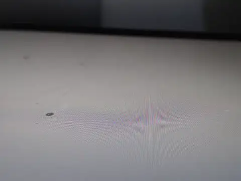 Snapshot of AlyssaBrown chatting on February 2026 07:04:01 PM AlyssaBrown online show from February 2026 07:04:01 PM