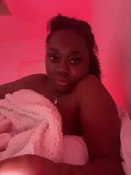 Stelly 75 online show from March 2026 09:37:01 AM