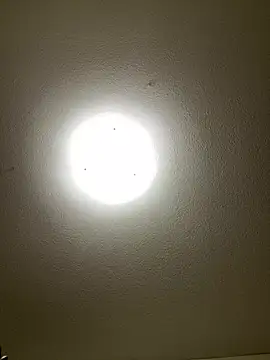 pussyeater - online show from April 2026 04:24:02 AM