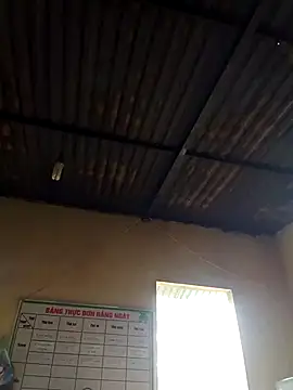 Linka998 online show from April 2026 05:16:01 AM