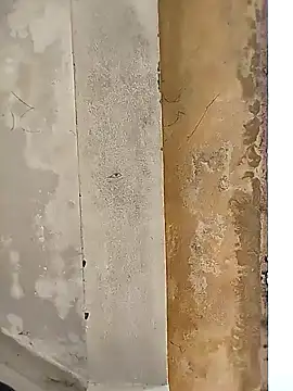 Snapshot of loyalboy_0052 chatting on February 2026 09:13:01 AM loyalboy 0052 online show from February 2026 09:13:01 AM