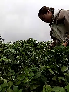 Snapshot of lovely-742 chatting on February 2026 01:50:01 AM lovely-742 online show from February 2026 01:50:01 AM