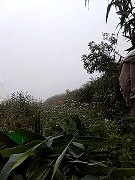 lovely-742 online show from March 2026 01:57:01 AM