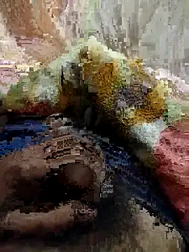 soni8850 online show from February 2026 04:03:02 PM