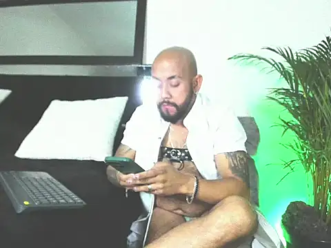 King bear 25 online show from February 2026 01:48:01 AM