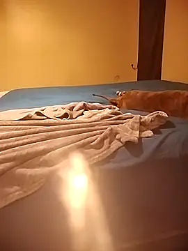 MissBella0969 online show from April 2026 06:00:02 AM