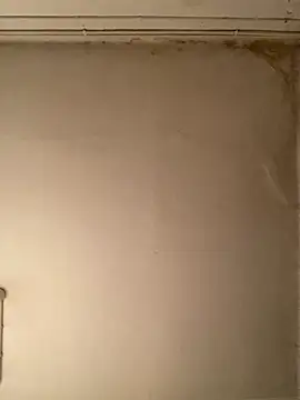 Snapshot of _Sabah_ chatting on February 2026 10:07:01 PM Sabah online show from February 2026 10:07:01 PM