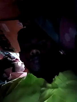 India-Sajan online show from March 2026 06:51:01 AM